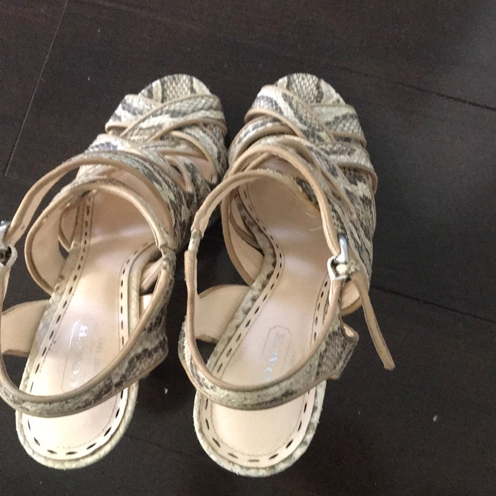 Coach Snake/Python Leather Shoes - image 6